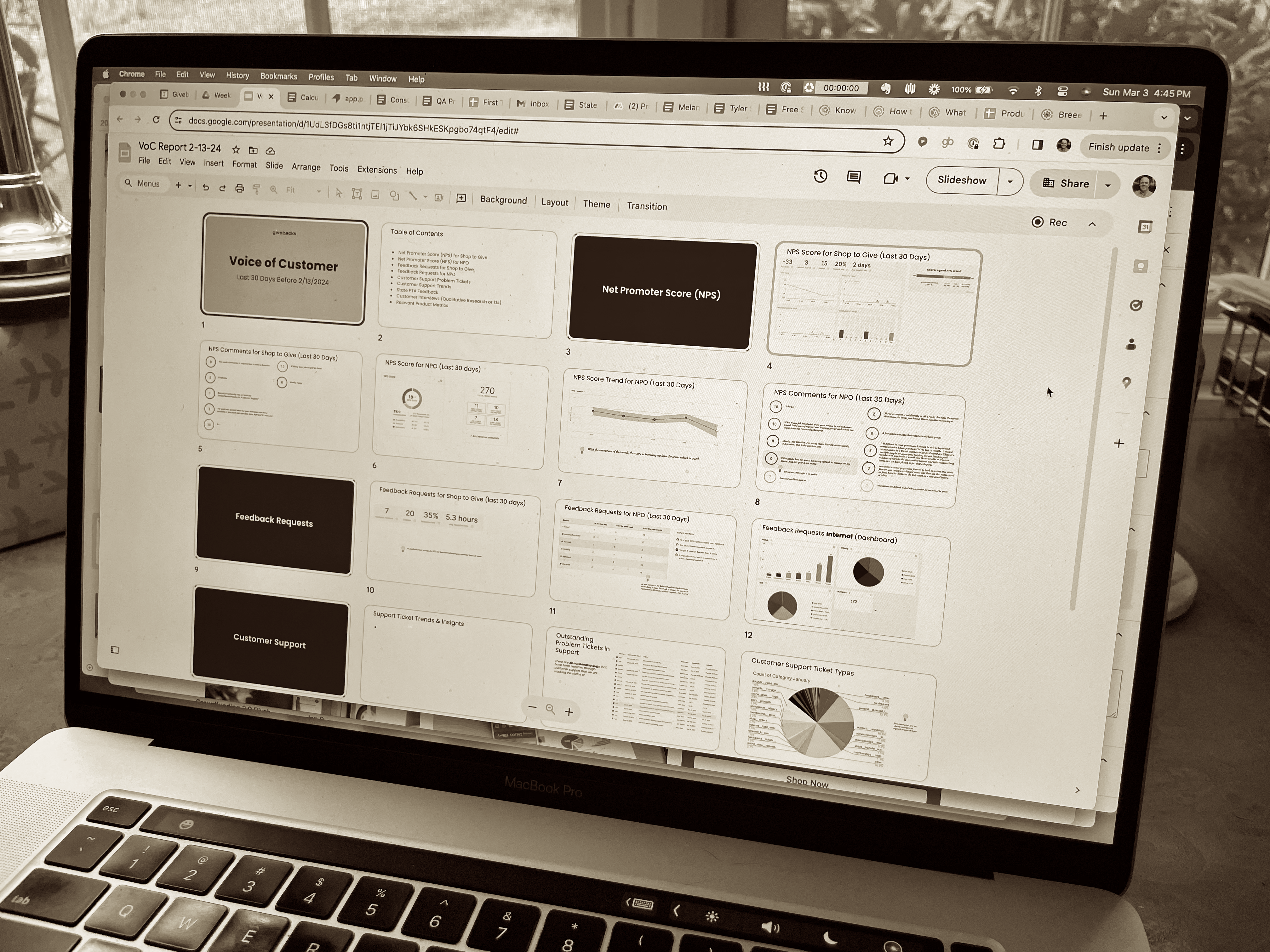 Voice of Customer Report